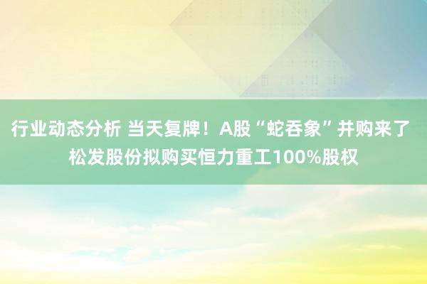 行业动态分析 当天复牌！A股“蛇吞象”并购来了 松发股份拟购买恒力重工100%股权