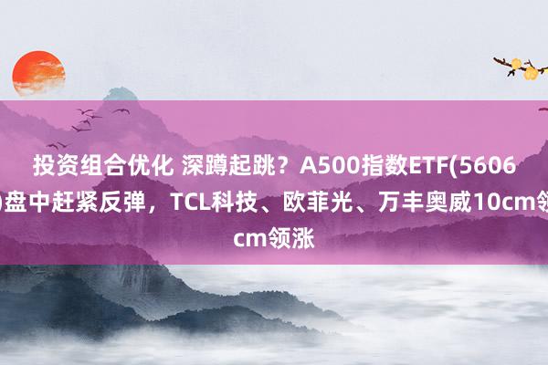 投资组合优化 深蹲起跳？A500指数ETF(560610)盘中赶紧反弹，TCL科技、欧菲光、万丰奥威10cm领涨