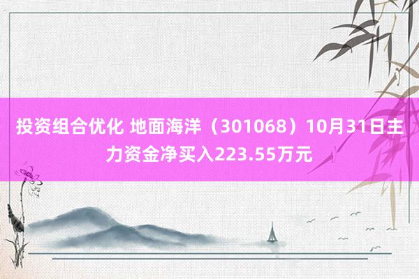 投资组合优化 地面海洋（301068）10月31日主力资金净买入223.55万元