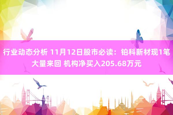 行业动态分析 11月12日股市必读：铂科新材现1笔大量来回 机构净买入205.68万元