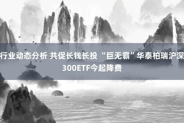 行业动态分析 共促长钱长投 “巨无霸”华泰柏瑞沪深300ETF今起降费