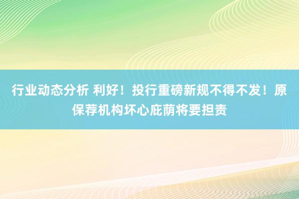 行业动态分析 利好！投行重磅新规不得不发！原保荐机构坏心庇荫将要担责