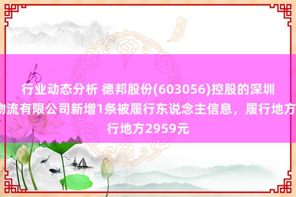 行业动态分析 德邦股份(603056)控股的深圳市德邦物流有限公司新增1条被履行东说念主信息，履行地方2959元