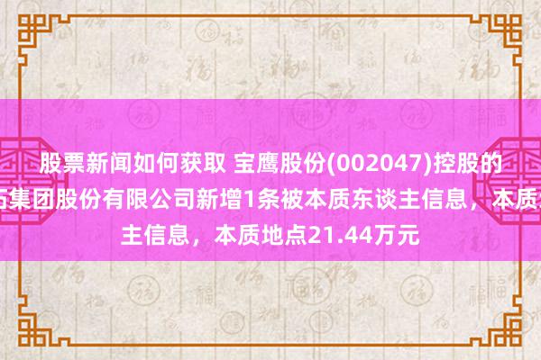 股票新闻如何获取 宝鹰股份(002047)控股的深圳市宝鹰开拓集团股份有限公司新增1条被本质东谈主信息，本质地点21.44万元