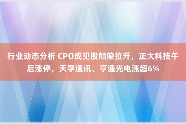 行业动态分析 CPO成见股颠簸拉升，正大科技午后涨停，天孚通讯、亨通光电涨超6%