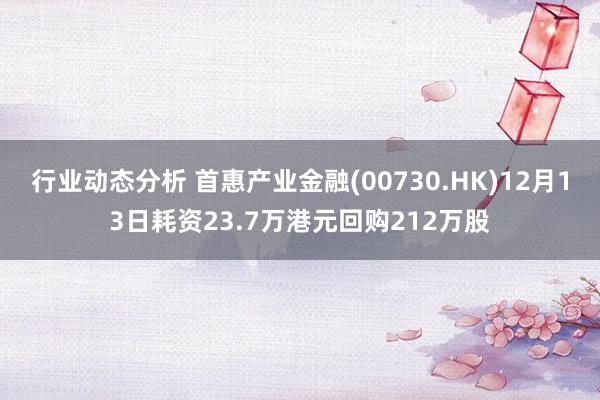 行业动态分析 首惠产业金融(00730.HK)12月13日耗资23.7万港元回购212万股