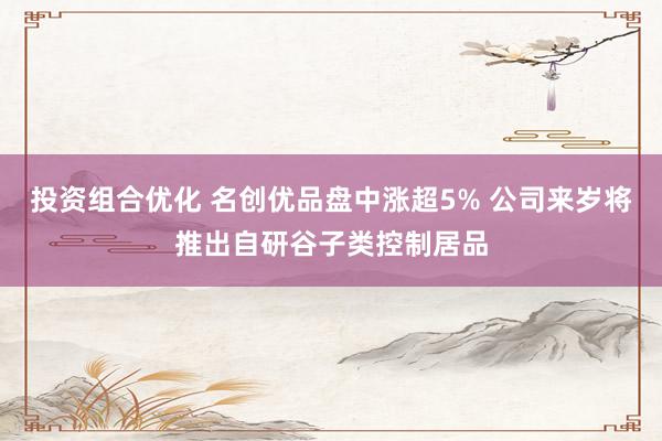 投资组合优化 名创优品盘中涨超5% 公司来岁将推出自研谷子类控制居品