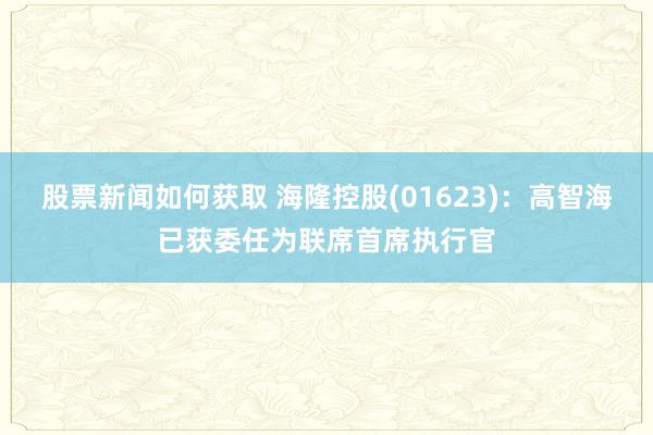 股票新闻如何获取 海隆控股(01623)：高智海已获委任为联席首席执行官