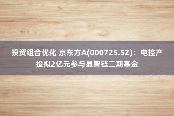 投资组合优化 京东方A(000725.SZ)：电控产投拟2亿元参与显智链二期基金