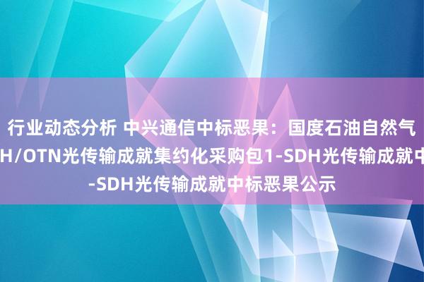 行业动态分析 中兴通信中标恶果：国度石油自然气管网集团SDH/OTN光传输成就集约化采购包1-SDH光传输成就中标恶果公示