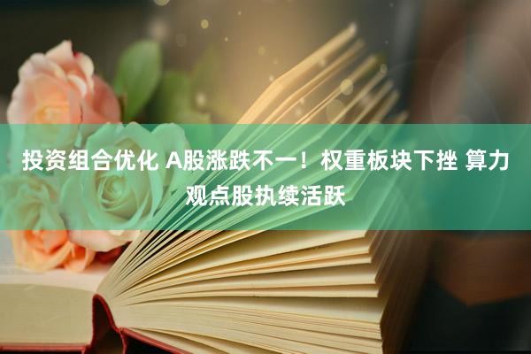 投资组合优化 A股涨跌不一！权重板块下挫 算力观点股执续活跃