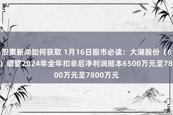 股票新闻如何获取 1月16日股市必读：大湖股份（600257）瞻望2024年全年扣非后净利润赔本6500万元至7800万元