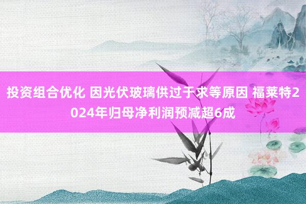 投资组合优化 因光伏玻璃供过于求等原因 福莱特2024年归母净利润预减超6成