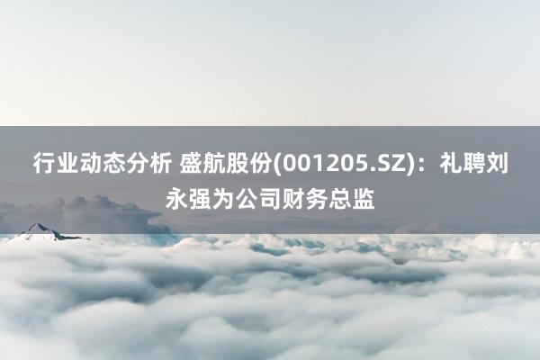 行业动态分析 盛航股份(001205.SZ)：礼聘刘永强为公司财务总监