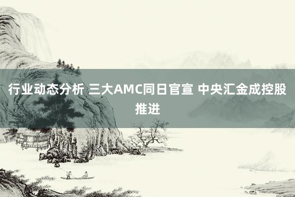 行业动态分析 三大AMC同日官宣 中央汇金成控股推进