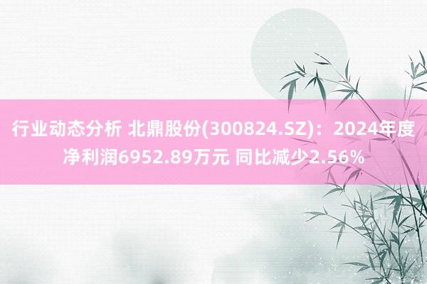 行业动态分析 北鼎股份(300824.SZ)：2024年度净利润6952.89万元 同比减少2.56%