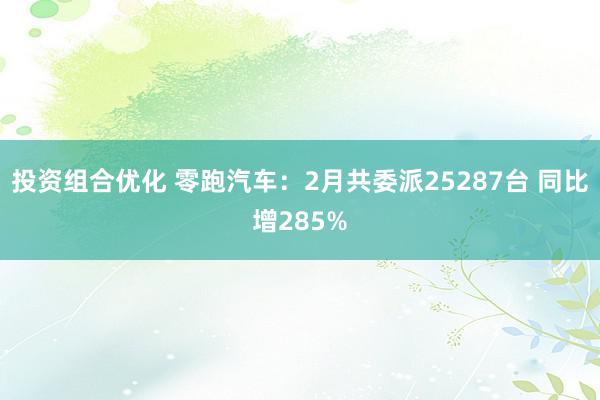 投资组合优化 零跑汽车：2月共委派25287台 同比增285%