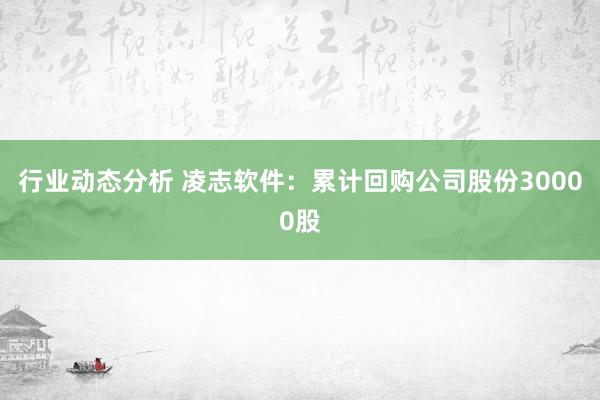 行业动态分析 凌志软件：累计回购公司股份30000股