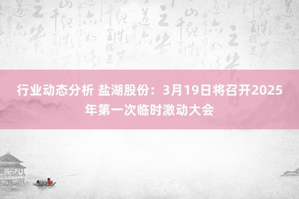 行业动态分析 盐湖股份：3月19日将召开2025年第一次临时激动大会