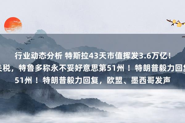 行业动态分析 特斯拉43天市值挥发3.6万亿！对好意思加征症结性关税，特鲁多称永不妥好意思第51州 ！特朗普毅力回复，欧盟、墨西哥发声