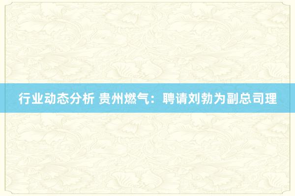 行业动态分析 贵州燃气：聘请刘勃为副总司理