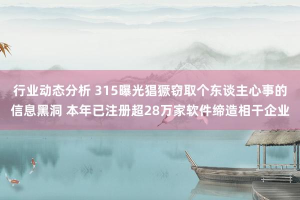 行业动态分析 315曝光猖獗窃取个东谈主心事的信息黑洞 本年已注册超28万家软件缔造相干企业