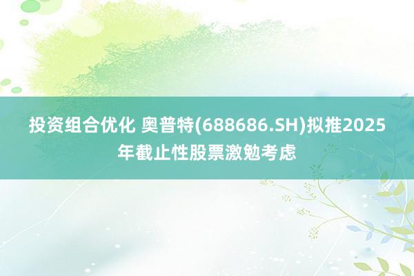 投资组合优化 奥普特(688686.SH)拟推2025年截止性股票激勉考虑